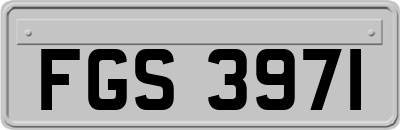 FGS3971