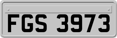 FGS3973