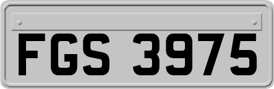 FGS3975