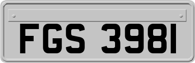 FGS3981