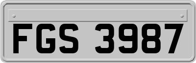 FGS3987