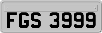 FGS3999