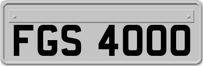 FGS4000
