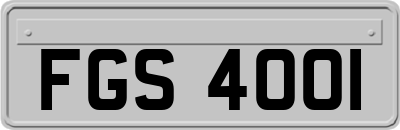 FGS4001