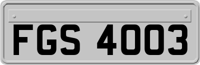 FGS4003