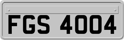FGS4004