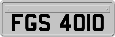 FGS4010
