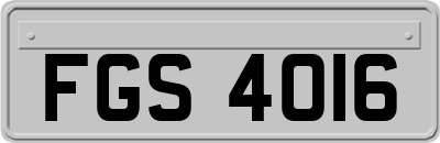 FGS4016