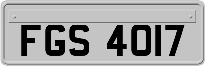 FGS4017