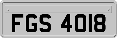 FGS4018