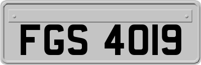 FGS4019