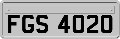 FGS4020