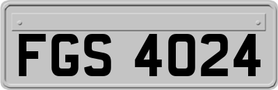 FGS4024