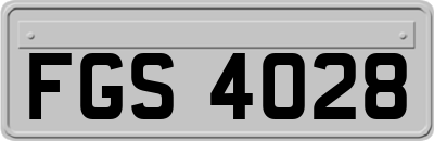 FGS4028
