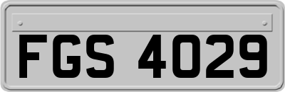 FGS4029