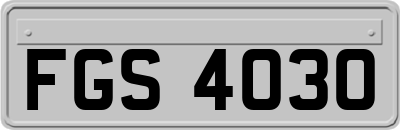 FGS4030