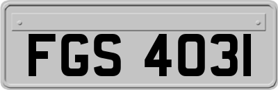 FGS4031