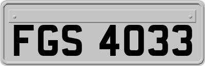FGS4033