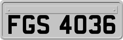 FGS4036