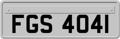 FGS4041