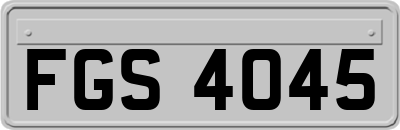 FGS4045