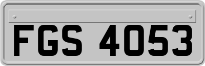 FGS4053