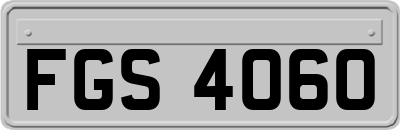 FGS4060