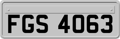 FGS4063