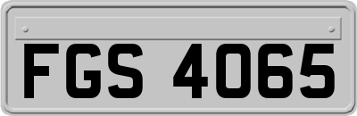 FGS4065