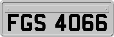 FGS4066