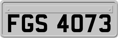 FGS4073