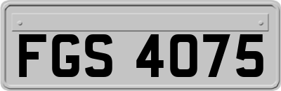 FGS4075