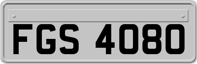 FGS4080