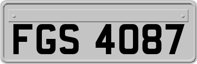 FGS4087