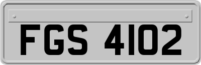 FGS4102