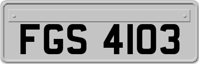 FGS4103