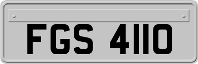 FGS4110