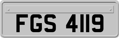 FGS4119