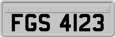 FGS4123
