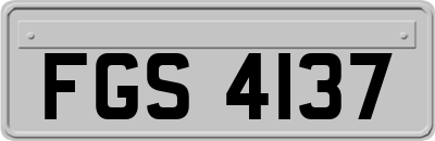 FGS4137