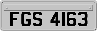 FGS4163