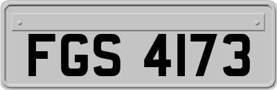 FGS4173