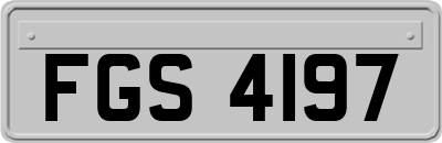 FGS4197