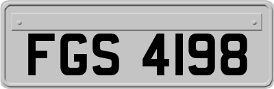 FGS4198