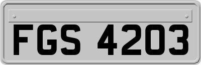 FGS4203