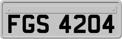 FGS4204
