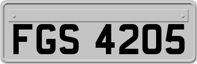 FGS4205