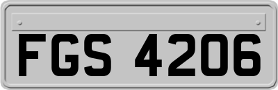 FGS4206