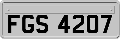 FGS4207