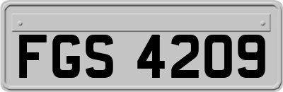 FGS4209